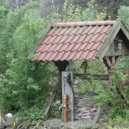 Fewo Emsland Emsbüren 外观 照片
