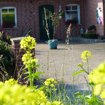 Fewo Emsland Emsbüren 外观 照片