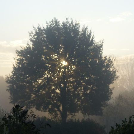 Fewo Emsland Emsbüren 外观 照片