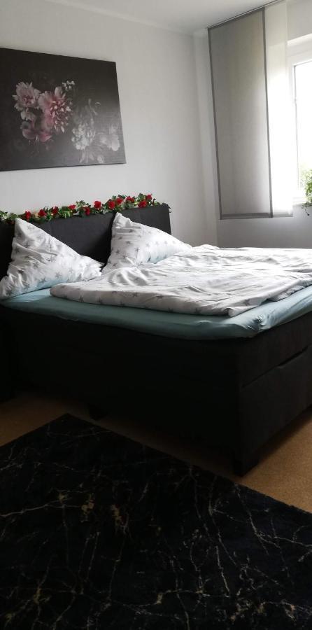 Fewo Emsland Emsbüren 外观 照片