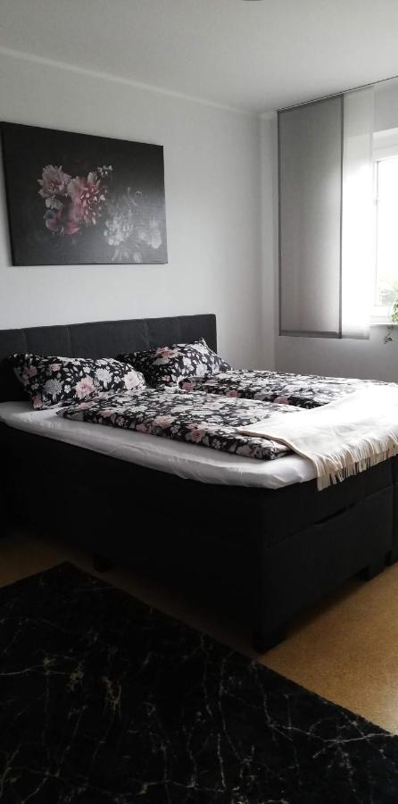 Fewo Emsland Emsbüren 外观 照片