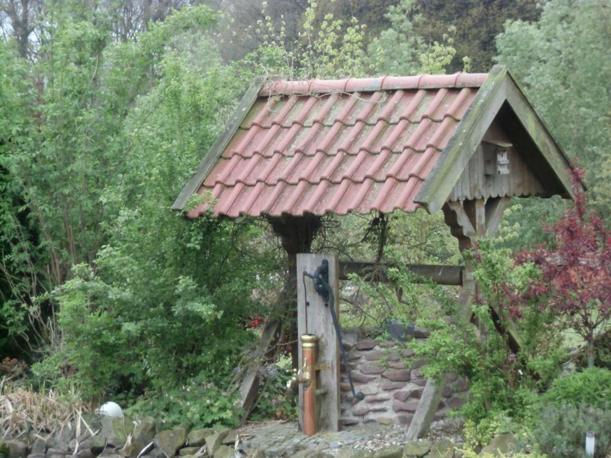 Fewo Emsland Emsbüren 外观 照片