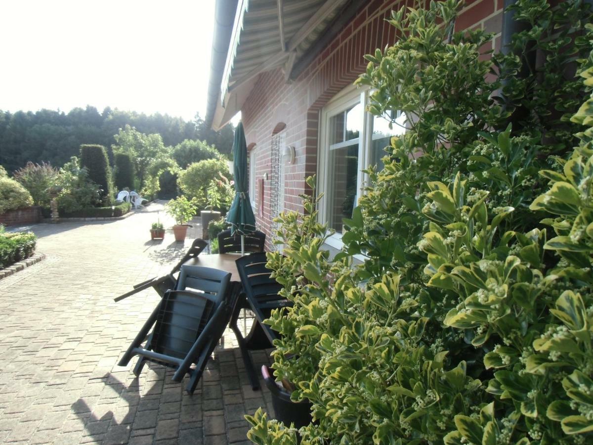 Fewo Emsland Emsbüren 外观 照片