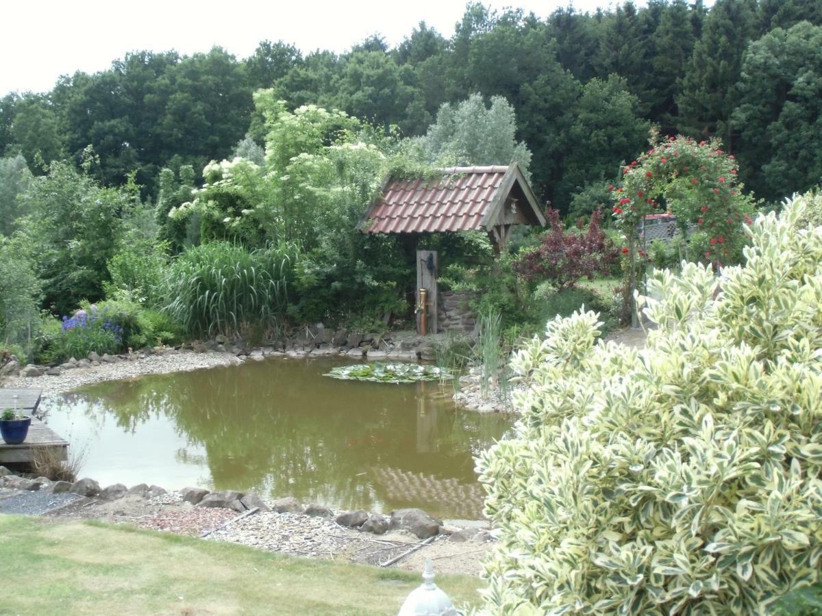 Fewo Emsland Emsbüren 外观 照片