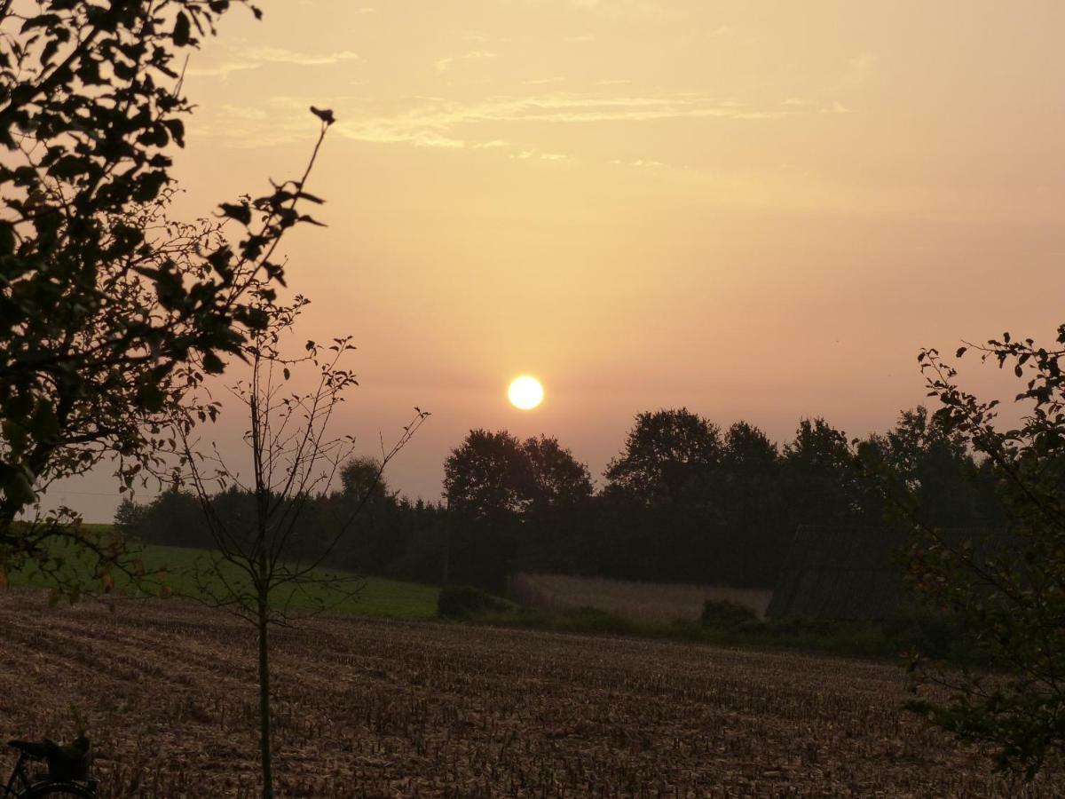 Fewo Emsland Emsbüren 外观 照片