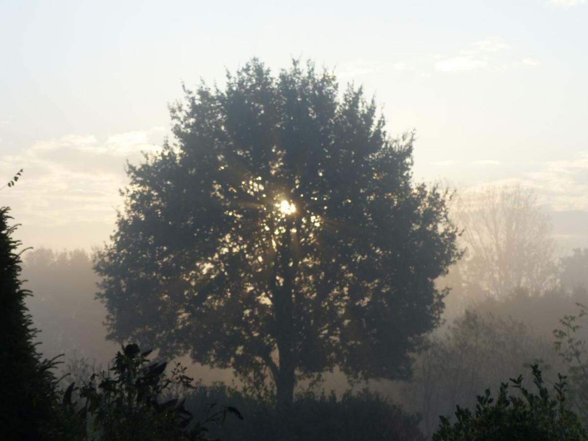 Fewo Emsland Emsbüren 外观 照片